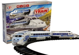 Игрушечный поезд с рельсами Track Train цена и информация | Игрушки для мальчиков | 220.lv