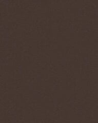 Заплатка самоклеющаяся (с клеем) коричневая цена и информация | Аппликации, декорации, наклейки | 220.lv