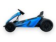 Drifta Go-Karts Rolzone zils, ar 24 voltu 200 vatu motoriem (18km/h) цена и информация | Bērnu elektroauto | 220.lv