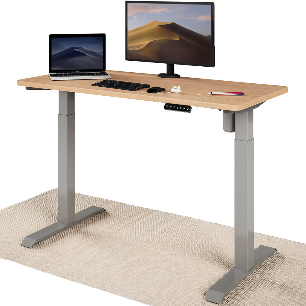 Elektroniski regulējama augstuma galds Desktronic ar USB A un C savienojumiem, Pelēkas kājas, Ozolkoka galda virsma 120 x 60 cm цена и информация | Datorgaldi, rakstāmgaldi, biroja galdi | 220.lv
