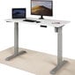 Elektroniski regulējama augstuma galds Desktronic ar USB A un C savienojumiem, Pelēkas kājas, Balta galda virsma 120 x 60 cm cena un informācija | Datorgaldi, rakstāmgaldi, biroja galdi | 220.lv
