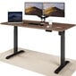 Elektroniski regulējama augstuma galds Desktronic ar USB A un C savienojumiem, Melnas kājas, Riekstakoka galda virsma 160 x 80 cm цена и информация | Datorgaldi, rakstāmgaldi, biroja galdi | 220.lv