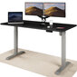 Elektroniski regulējama augstuma galds Desktronic ar USB A un C savienojumiem, Pelēkas kājas, Melna galda virsma 160 x 80 cm цена и информация | Datorgaldi, rakstāmgaldi, biroja galdi | 220.lv