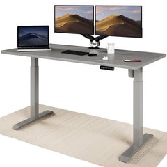 Elektroniski regulējama augstuma galds Desktronic ar USB A un C savienojumiem, Pelēkas kājas, Pelēka galda virsma 160 x 80 cm cena un informācija | Datorgaldi, rakstāmgaldi, biroja galdi | 220.lv