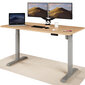 Elektroniski regulējama augstuma galds Desktronic ar USB A un C savienojumiem, Pelēkas kājas, Ozolkoka galda virsma 160 x 80 cm cena un informācija | Datorgaldi, rakstāmgaldi, biroja galdi | 220.lv