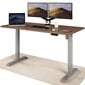 Elektroniski regulējama augstuma galds Desktronic ar USB A un C savienojumiem, Pelēkas kājas, Riekstakoka galda virsma 160 x 80 cm cena un informācija | Datorgaldi, rakstāmgaldi, biroja galdi | 220.lv