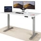 Elektroniski regulējama augstuma galds Desktronic ar USB A un C savienojumiem, Pelēkas kājas, Balta galda virsma 160 x 80 cm цена и информация | Datorgaldi, rakstāmgaldi, biroja galdi | 220.lv