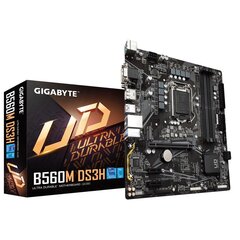 Gigabyte B560M DS3H цена и информация | Материнские платы | 220.lv