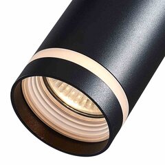 Milagro piekaramā lampa Pipe Ring Track cena un informācija | Piekaramās lampas | 220.lv