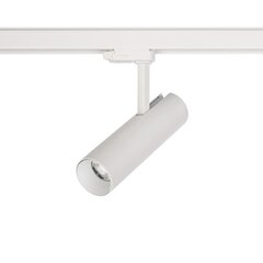 LED lampa Nowodvorski CTLS Milo 15W 3000K 8766 cena un informācija | Lustras | 220.lv