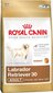 Royal Canin Labrador Retriever Adult 12 kg цена и информация | Sausā barība suņiem | 220.lv