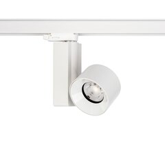 LED gaismeklis Nowodvorski CTLS Nea 20W 3000K 8757 цена и информация | Люстры | 220.lv