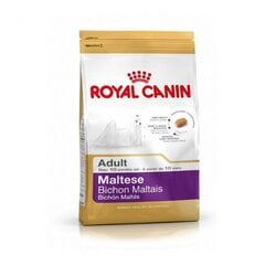 Suņu barība Royal Canin Maltese Adult 0,5 kg cena un informācija | Sausā barība suņiem | 220.lv