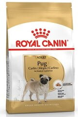 Suņu barība Royal Canin Pug Adult, 1.5 kg цена и информация | Сухой корм для собак | 220.lv