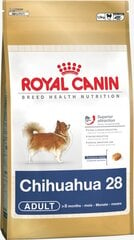 Suņu barība Royal Canin Chihuahua Adult 0.5 kg cena un informācija | Sausā barība suņiem | 220.lv