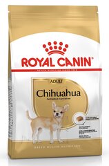 Корм для собак Royal Canin Chihuahua взрослых 1,5 кг цена и информация |  Сухой корм для собак | 220.lv