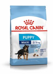 Suņu barība Royal Canin Maxi Junior 4 kg cena un informācija | Sausā barība suņiem | 220.lv