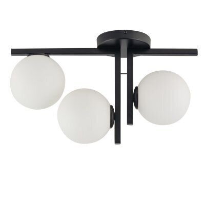 Griestu lampa Andy 33286 cena un informācija | Griestu lampas | 220.lv