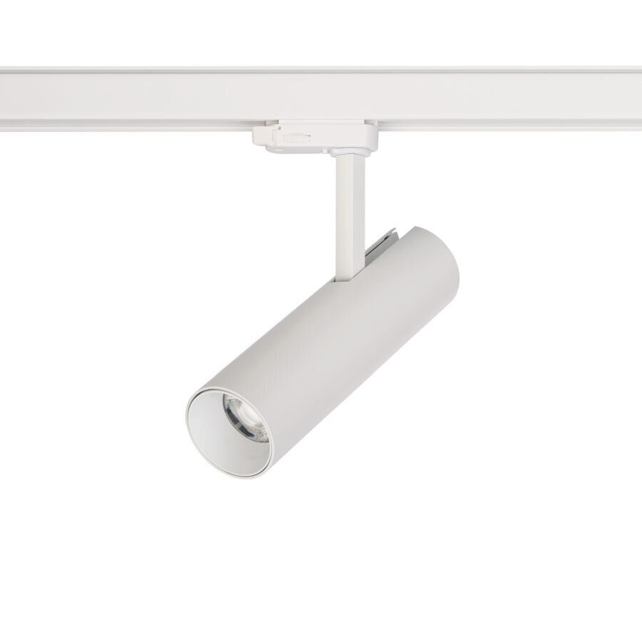 LED lampa Nowodvorski CTLS Milo 15W 4000K 8765 цена и информация | Piekaramās lampas | 220.lv