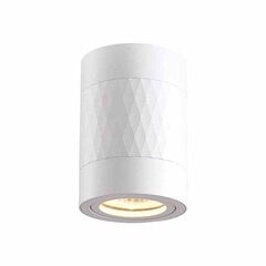 Потолочный светильник Milagro Bima Arte Round White цена и информация | Потолочный светильник | 220.lv