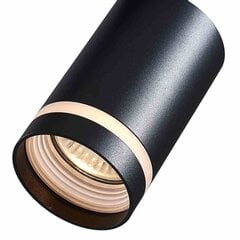 Milagro griestu lampa Pipe Ring Track Spot cena un informācija | Griestu lampas | 220.lv