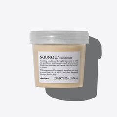 Восстанавливающий кондиционер для поврежденных волос Davines Essential Haircare Nounou Conditioner, 250 мл цена и информация | Бальзамы, кондиционеры | 220.lv