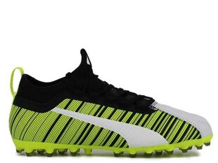 SPORTS PUMA ONE 5.3 MG JR 10565802 10565802 цена и информация | Детская спортивная обувь | 220.lv