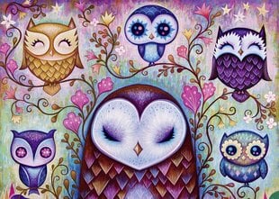 Пазл Heye United owl, 1000 шт. цена и информация | Пазлы | 220.lv