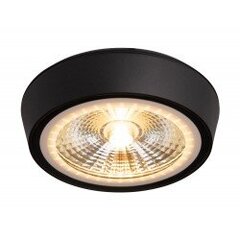 MAXLIGHT C0208 LAMPA SUFITOWA CHARON CZARNY IP65 цена и информация | Потолочные светильники | 220.lv