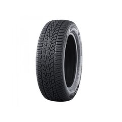 NANKANG SV-4 92 T XL 185/65R15 cena un informācija | Ziemas riepas | 220.lv