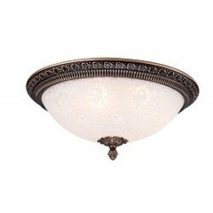 Griestu lampa Maytoni Ceiling & Wall brūnā krāsā ar baltu kupolu C908-CL-03-R cena un informācija | Griestu lampas | 220.lv