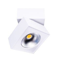 Spotlampa Maxlight Artu kolekcija baltā krāsā 15W 3000K C0106 цена и информация | Griestu lampas | 220.lv