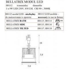 Spotlampa Maxlight Bellatrix Ø5 cm 9W 3000K H0112 цена и информация | Потолочные светильники | 220.lv
