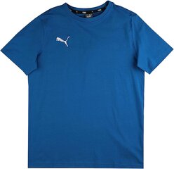 Футболка Puma Jungen Teamgoal 23 Casuals Tee Jr, Electric Blue Lemonade, 140 цена и информация | Футбольная форма и другие товары | 220.lv