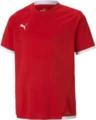 Рубашка Puma Unisex-Child, Puma Red-Puma White, 116 цена и информация | Футбольная форма и другие товары | 220.lv