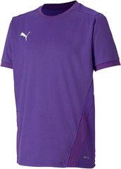 Puma Kinder Teamgoal 23 Jersey Jr Trikot krekls, violets, 116 cena un informācija | Futbola formas un citas preces | 220.lv