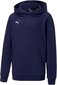 Puma Unisex Kinder džemperis,zils, 176 B083Z4KPJV cena un informācija | Zēnu jakas, džemperi, žaketes, vestes | 220.lv