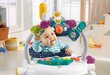 Lēkājošas šūpoles Fisher Price Astro Kitty Space Saver цена и информация | Staigulīši | 220.lv