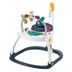 Lēkājošas šūpoles Fisher Price Astro Kitty Space Saver cena un informācija | Staigulīši | 220.lv