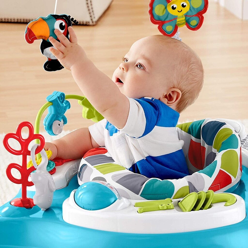 Lēkājošas šūpoles Fisher Price Color Climbers cena un informācija | Staigulīši | 220.lv