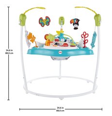 Детское кресло-качалка Fisher Price Rainforest Tigriukas, CBV63 цена и информация | Fisher Price Товары для детей и младенцев | 220.lv