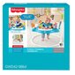 Lēkājošas šūpoles Fisher Price Color Climbers cena un informācija | Staigulīši | 220.lv