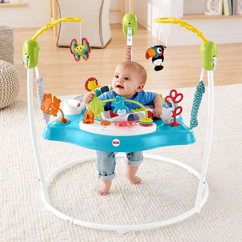 Lēkājošas šūpoles Fisher Price Color Climbers cena un informācija | Staigulīši | 220.lv