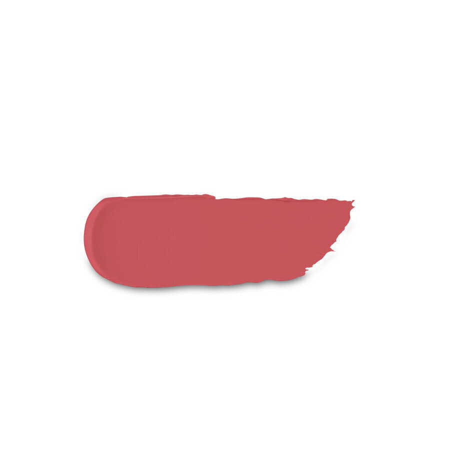 Matēta lūpu krāsa Kiko Milano Powder Power Lipstick, 05 Light Hibiscus cena un informācija | Lūpu krāsas, balzāmi, spīdumi, vazelīns | 220.lv