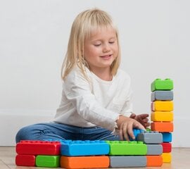 Строительные блоки Marioinex Junior Bricks, 40 шт., (окна + дверь) цена и информация | Конструкторы и кубики | 220.lv