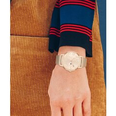 Женские часы Tommy Hilfiger TH1782369 цена и информация | Женские часы | 220.lv