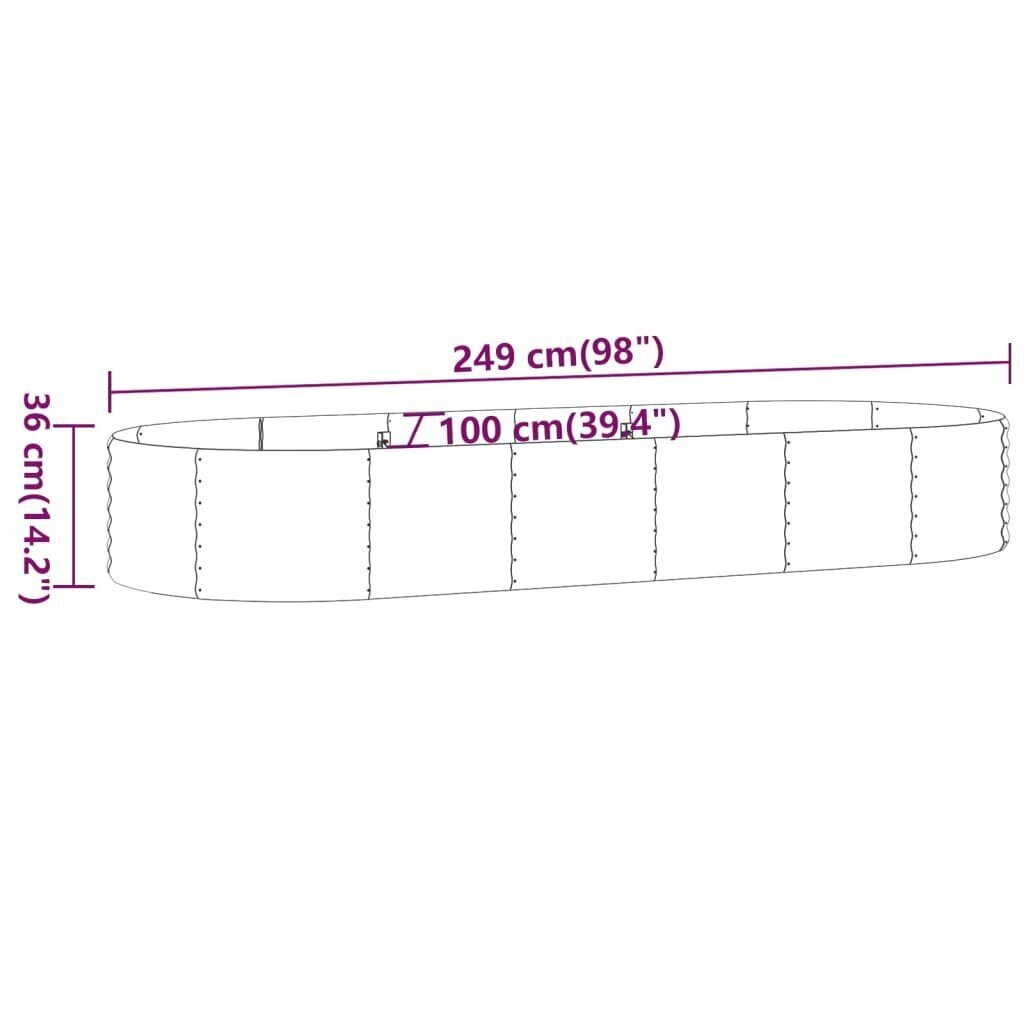 Dārza gulta, sudraba, 249x100x36cm, tērauda cena un informācija | Balkona kastes | 220.lv