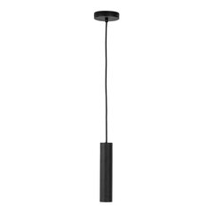 Подвесной светильник Paris цена и информация | Настенный/подвесной светильник Eye Spot 11 BL, чёрный | 220.lv