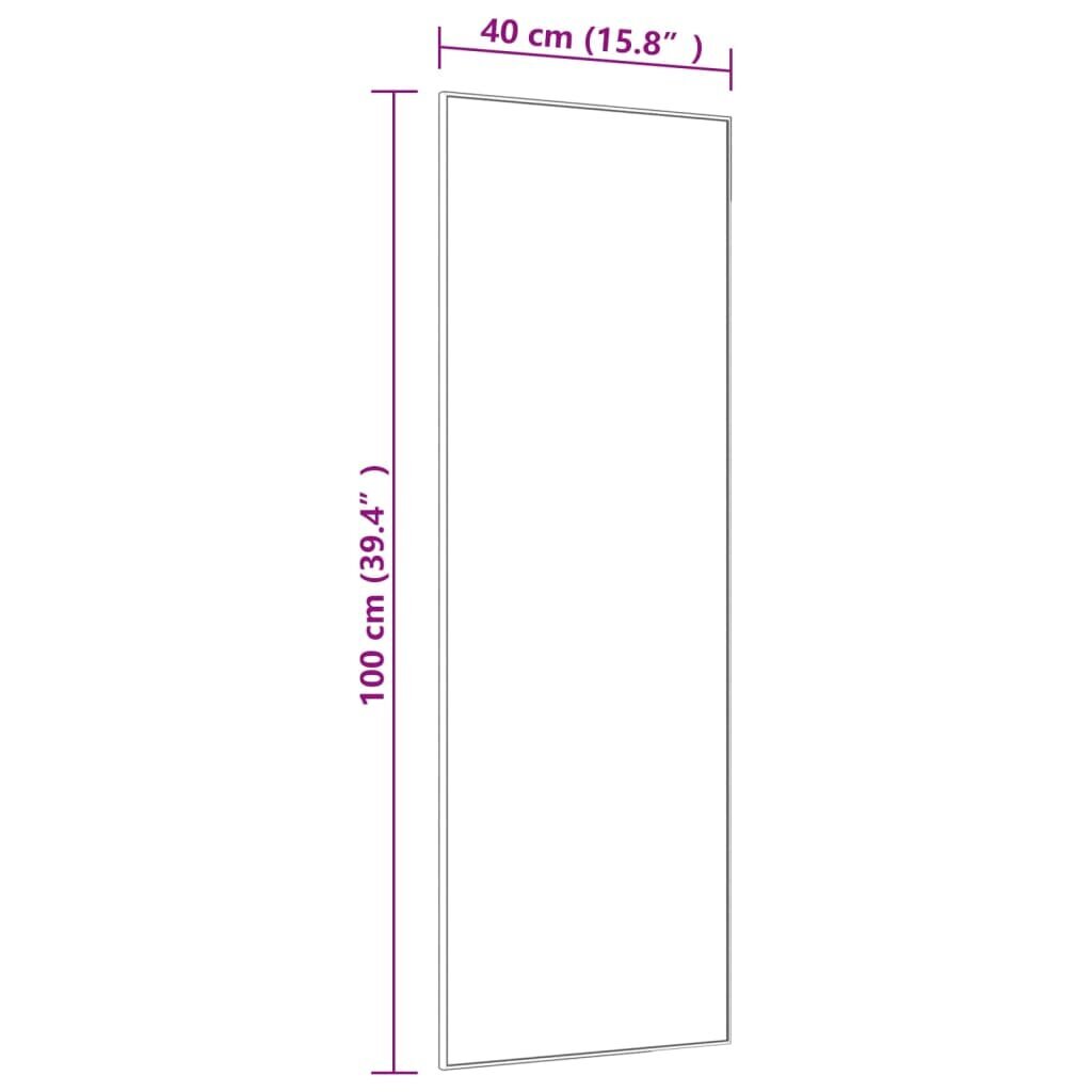 vidaXL durvju spogulis, melns, 40x100 cm, stikls un alumīnijs cena un informācija | Spoguļi | 220.lv