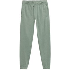 Мужские брюки Outhorn HOL22 SPMD604 41S, зеленые цена и информация | Мужская спортивная одежда | 220.lv